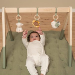 Little Dutch baby gym  - aktyvumo stovas 
